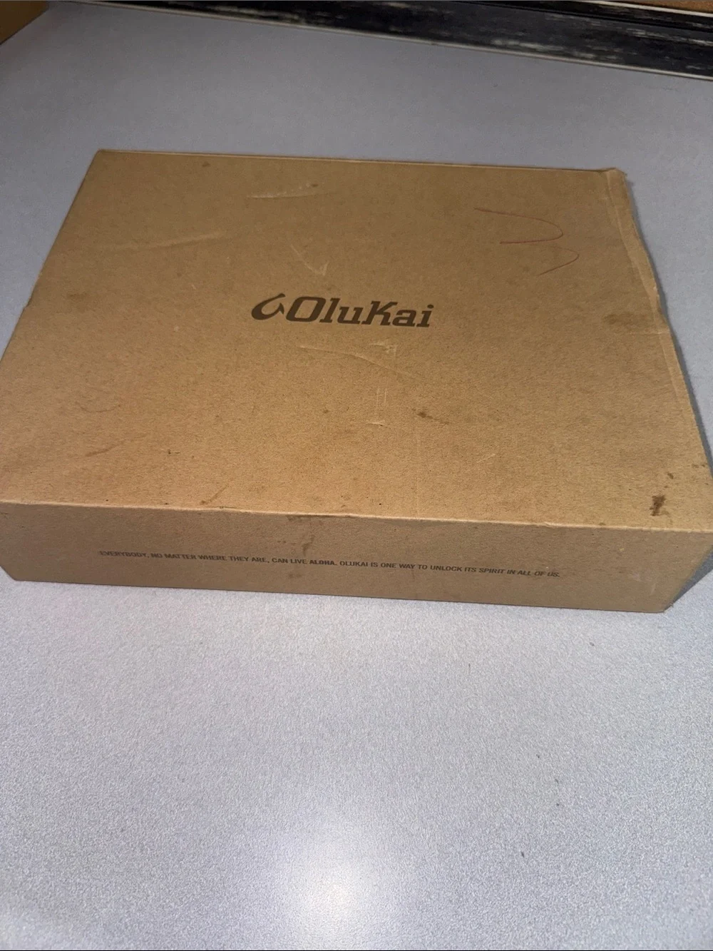 OluKai navy flip